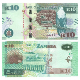 Замбия 10 квача 2018-2022 гг