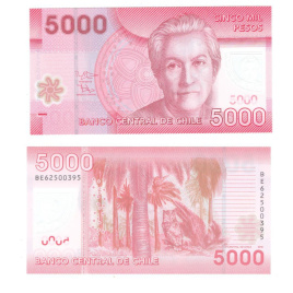 Чили 5000 песо 2009 год (полимер)