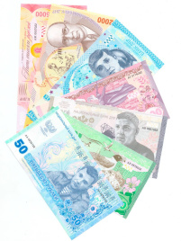 Фантазийный набор рублей ДНР (7 шт)