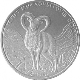 Устюрский муфлон