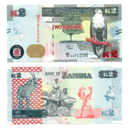 Замбия 2 квача 2020 год