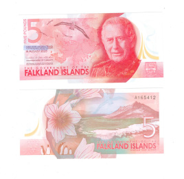 Фолклендские остова 5 фунтов 2025 год (полимер)