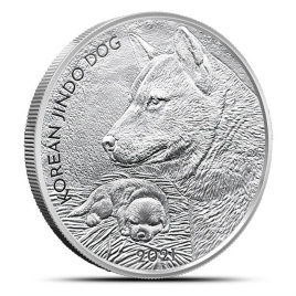 Корейская собака Jingo dog, 2021 год