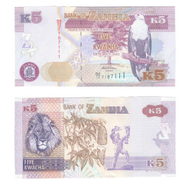 Замбия 5 квача 2012-2014 гг