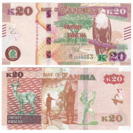 Замбия 20 квача 2018 год