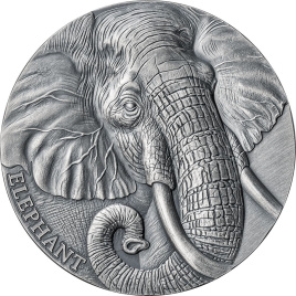 Слон Expressions of Wildlife - 2oz Камерун, 2023 год