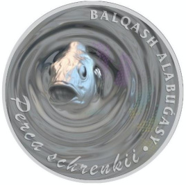 Балхашский окунь, 3D - серия Флора и Фауна Казахстана