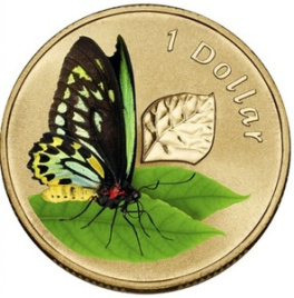 Бабочка птицекрылка (блистер) - Австралия, 1 доллар, 2011 год