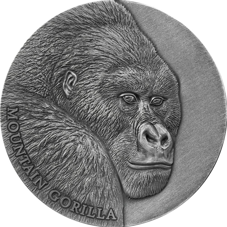 Горная горилла Expressions of Wildlife - 2oz, Камерун, 2021 год фото 1