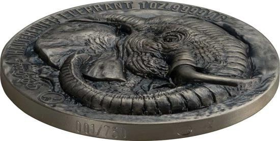 Слон "Большая пятерка Африки" - Кот-д'Ивуар, 2022 год, 1000 франков КФА фото 2