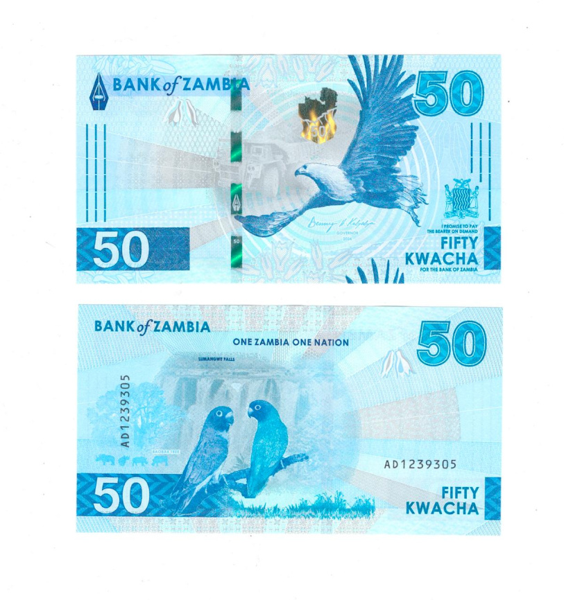 Замбия 50 квача 2024 год фото 1