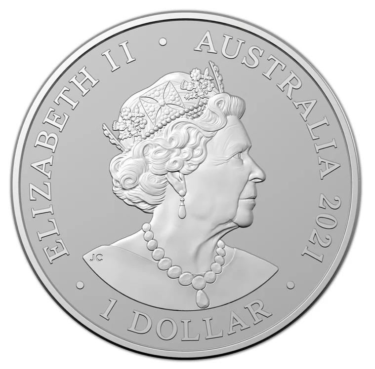 Дельфин Фрейзера - Австралия, 2021 год фото 2