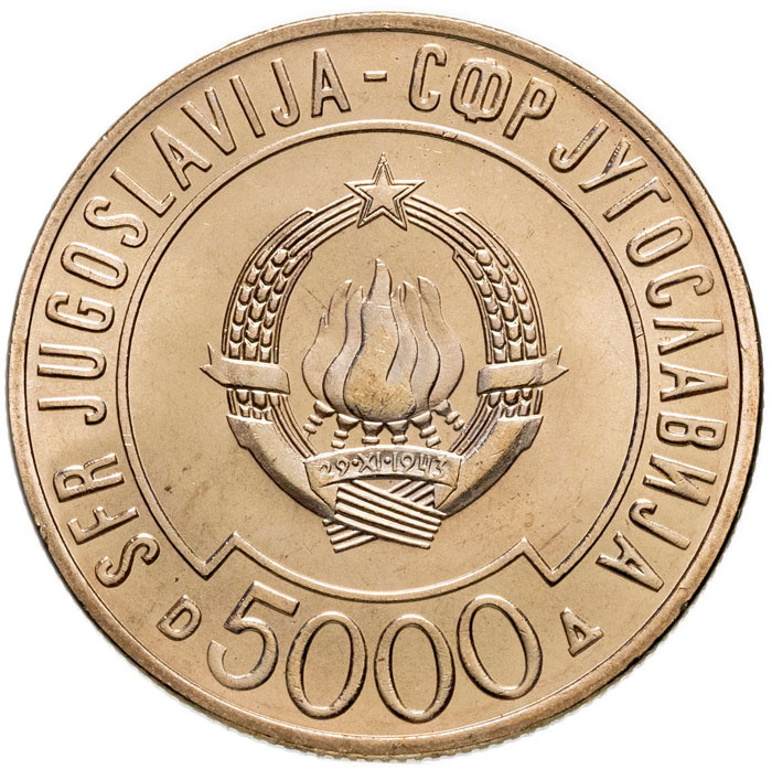 Саммит неприсоединившихся государств - Югославия, 5000 динар, 1989 год фото 2