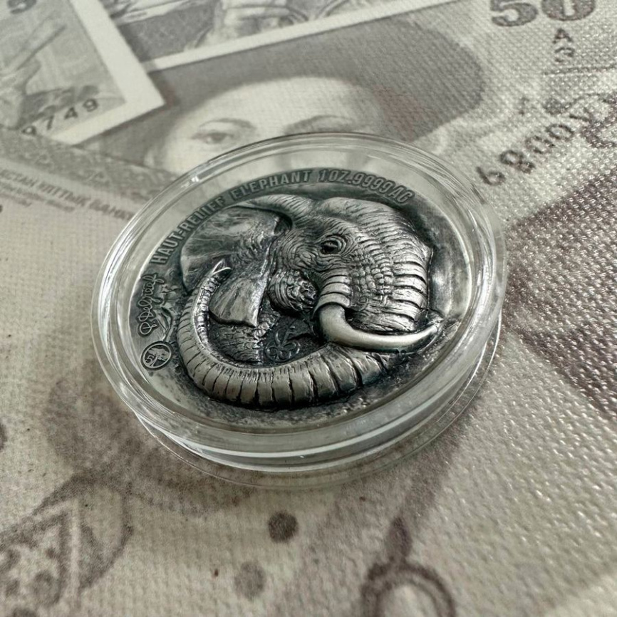 Слон "Большая пятерка Африки" - Кот-д'Ивуар, 2022 год, 1000 франков КФА фото 4