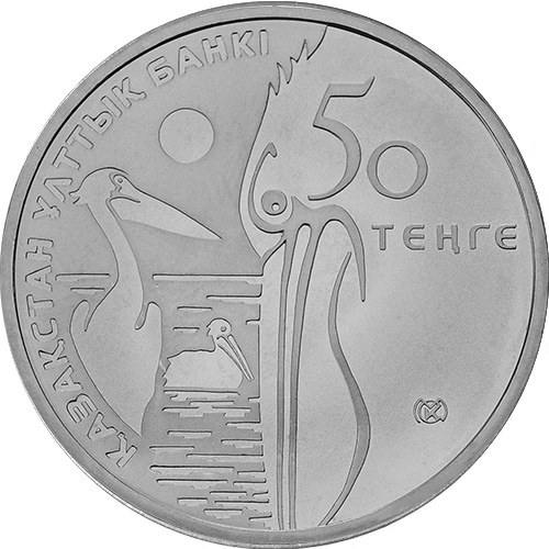 Кудрявый пеликан фото 2