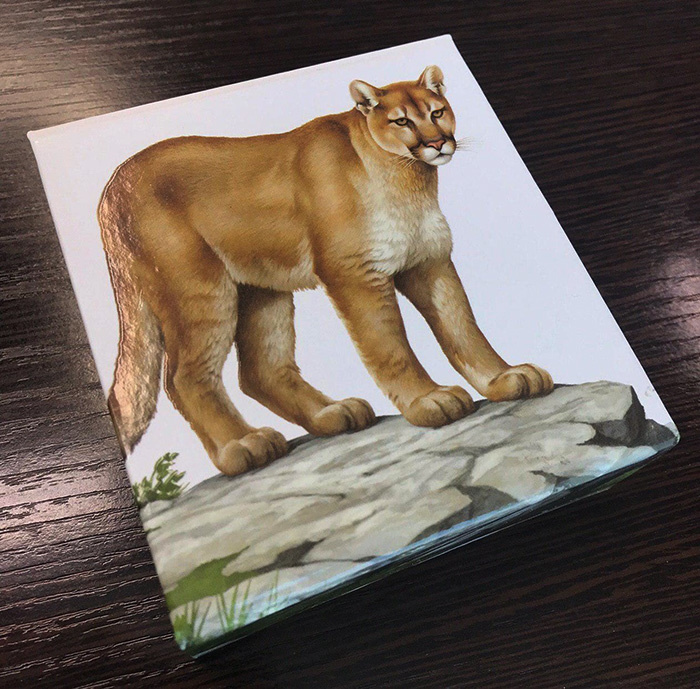 Пума, 100 долларов, Канада, 2016 год фото 4