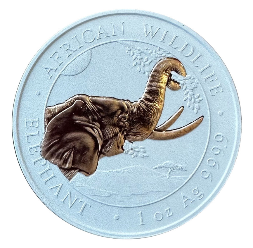 Африканский слон, 100 шиллингов, Сомали (позолота) фото 1