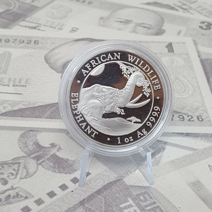 Слон, серия "Дикая природа Африки" - Сомали, 100 шиллингов, 2023 год фото 3