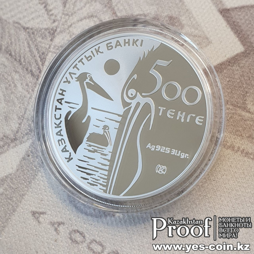 Кудрявый пеликан, серия «Красная книга РК» фото 4