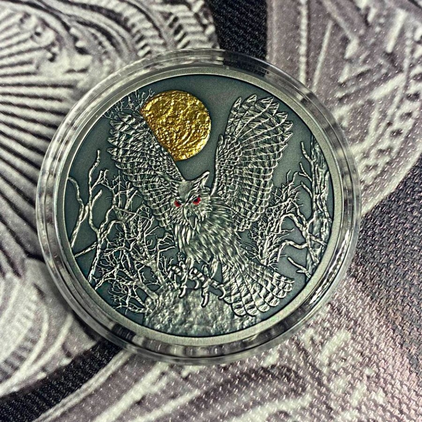 Сова серии "Ночные охотники"  - Камерун, 500 франков, 2022 год фото 2