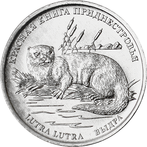 Выдра Красная книга - Приднестровье, 1 рубль, 2018 год фото 1