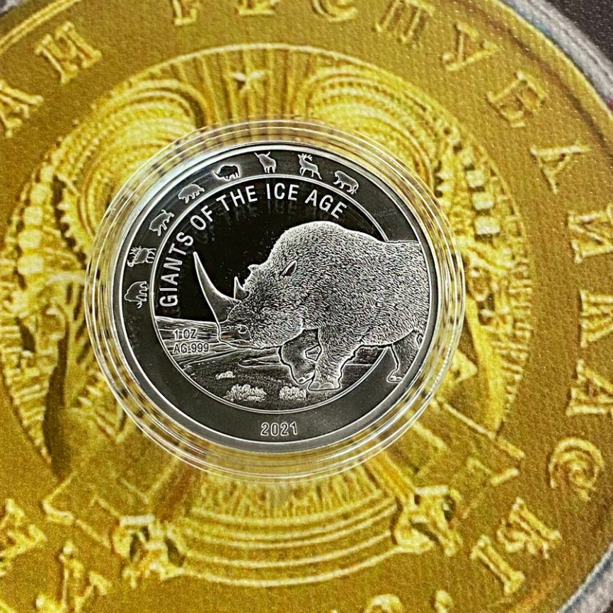 Носорог, серия "Гиганты ледникового периода" - Республика Гана, 5 седи, 2021 год фото 3