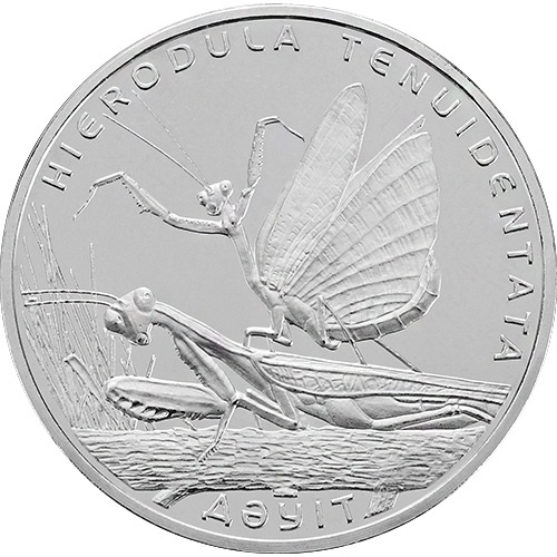 Богомол фото 1