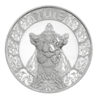 Верблюд (TUIE) | тотемы кочевников | блистер фото 2