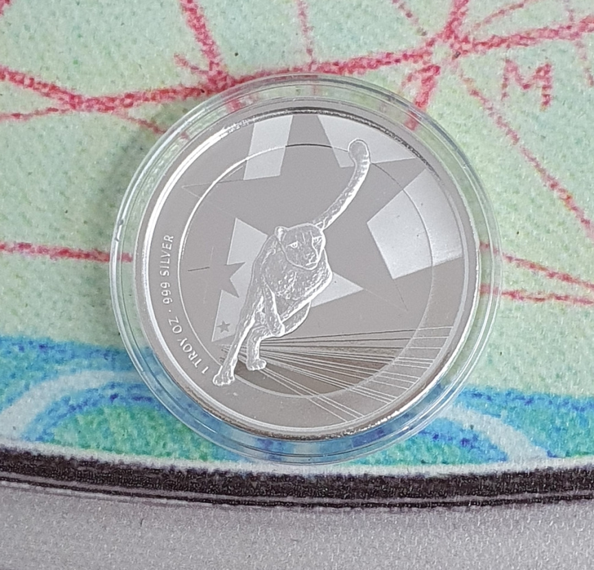 Африканский гепард - Камерун, 500 франков, 2019 год фото 2