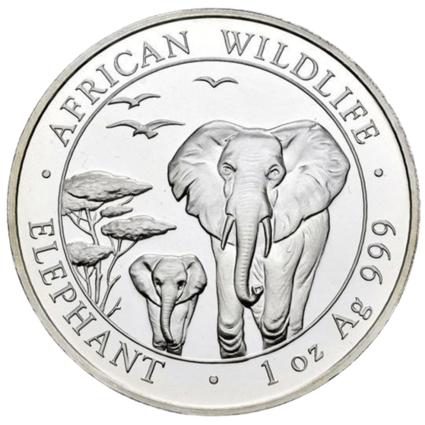 Слон - Сомали, 100 шиллингов, 2015 год фото 1