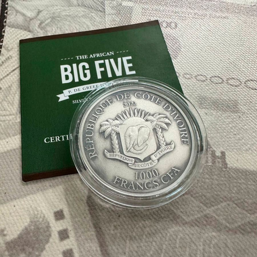 Слон "Большая пятерка Африки" - Кот-д'Ивуар, 2022 год, 1000 франков КФА фото 3