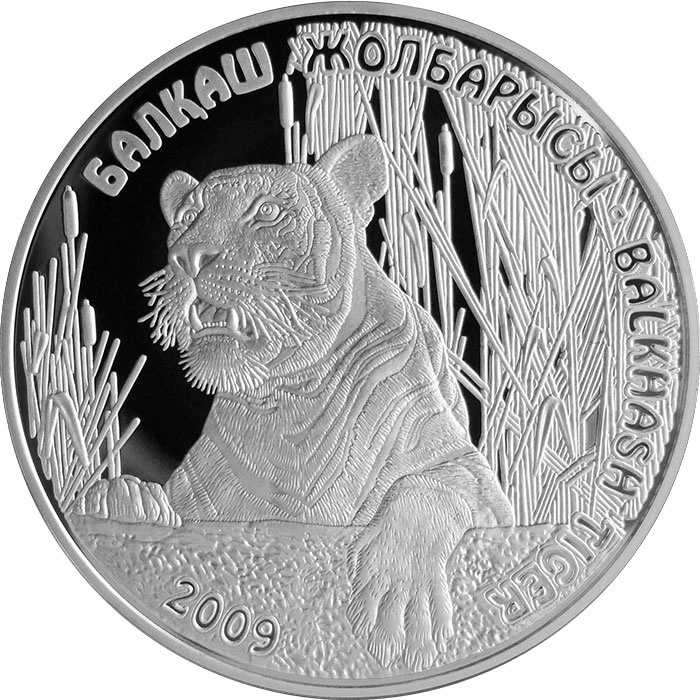 Балхашский тигр фото 1