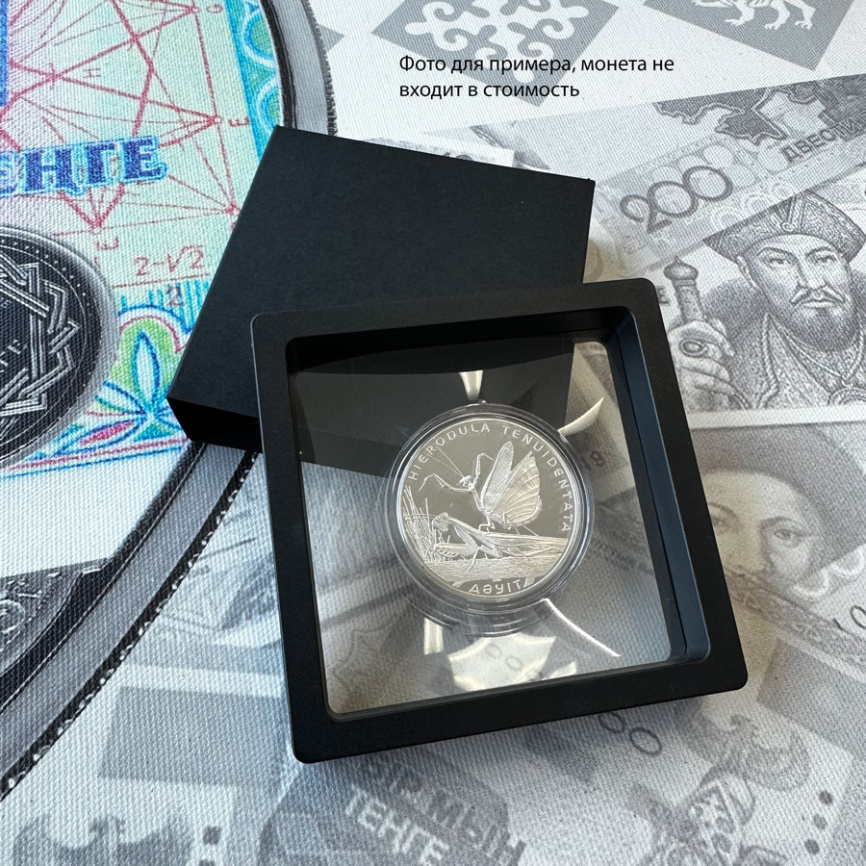 Рамка для монеты 90х90 мм  фото 3