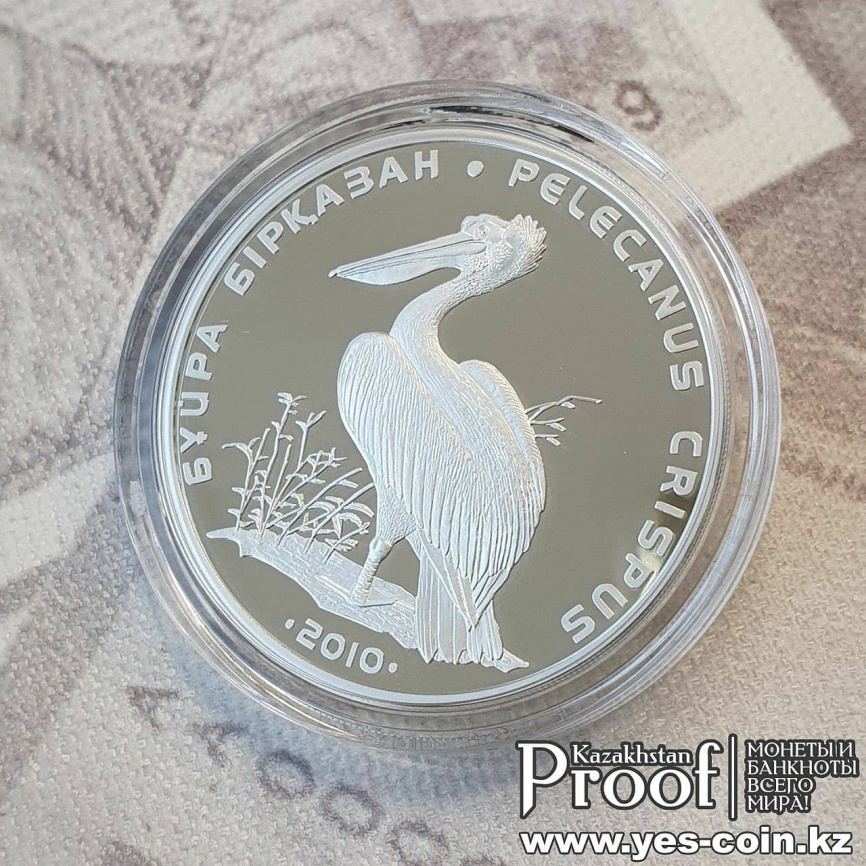 Кудрявый пеликан, серия «Красная книга РК» фото 3