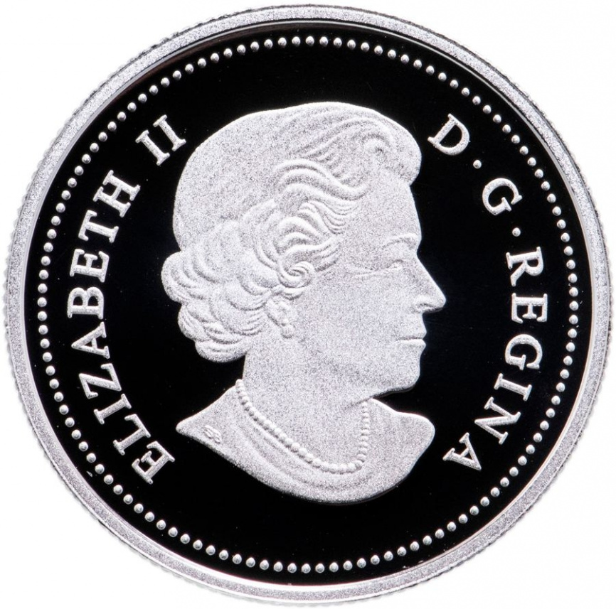 Пчела и улей (тампопечать) - Канада, 3 доллара, 2013 год фото 2