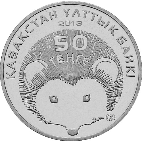 Длинноиглый еж фото 1