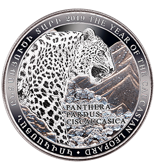 Год кавказского леопарда - Армения, 2019 год фото 1