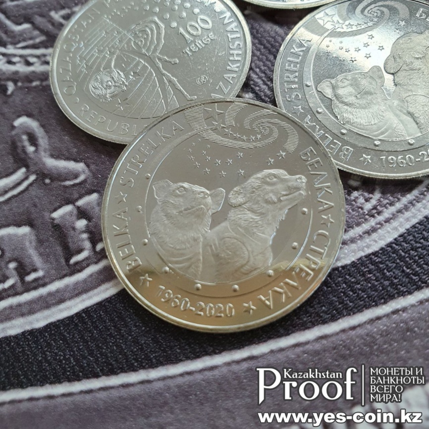 Белка - Стрелка - нейзильбер, 100 тенге фото 3