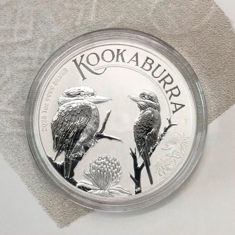 Кукабарра  - Австралия, 2023 год, инвестиционная фото 3