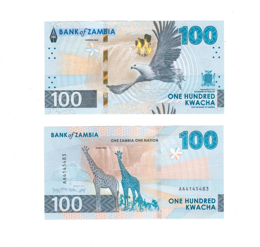 Замбия 100 квача 2024 год фото 1