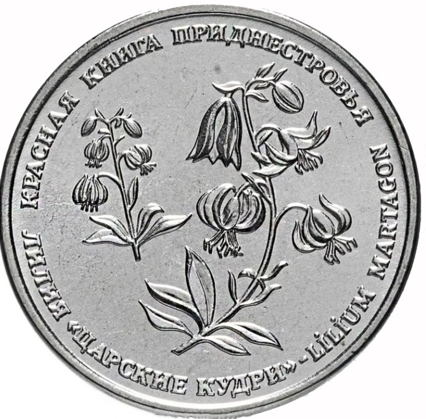 Лилия "Царские кудри"-1 рубль, Приднестровье, 2019 год фото 1
