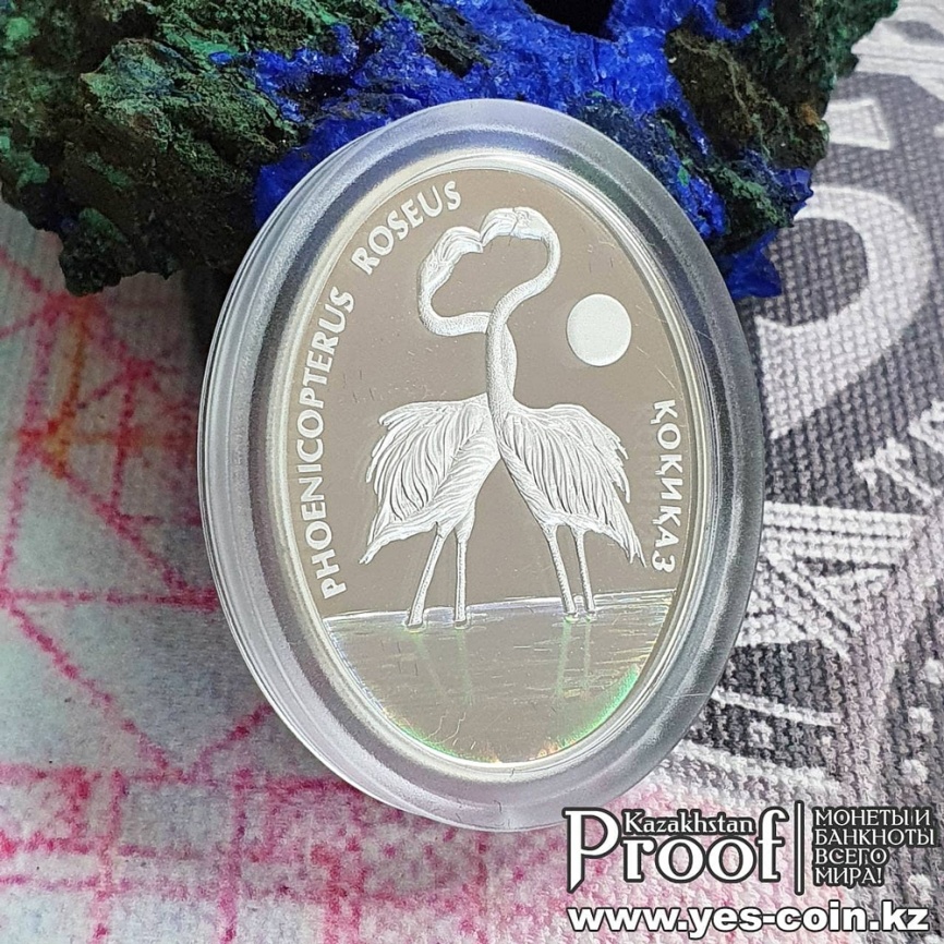 Фламинго, серия «Фауна и флора Кахахстана» фото 3