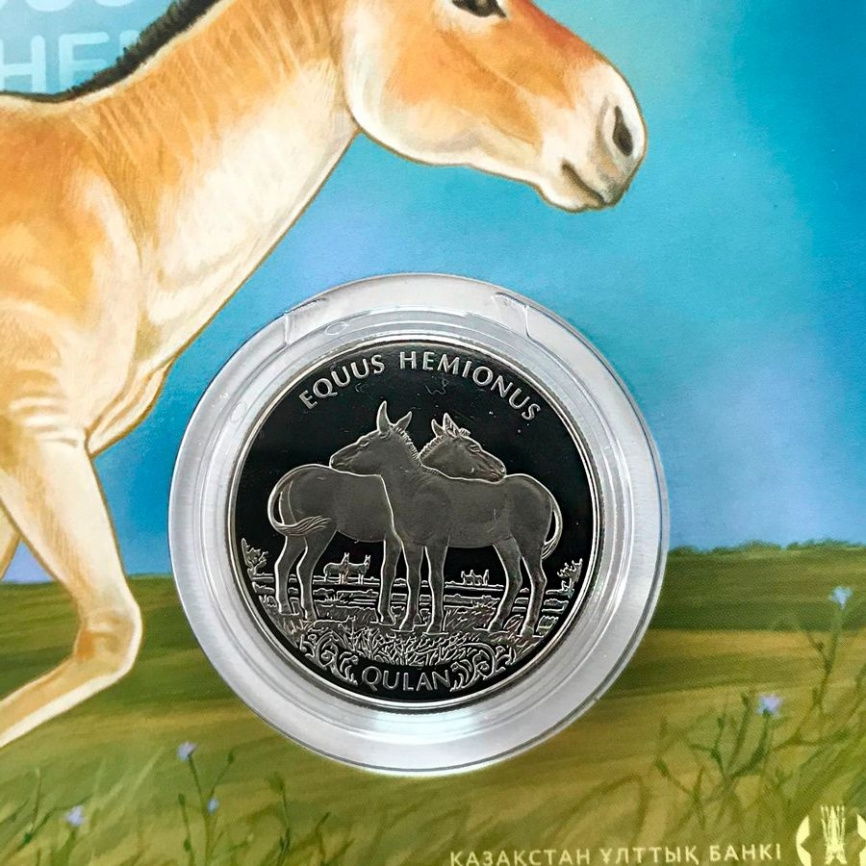 Кулан (блистер) - мельхиор, 100 тенге, 2021 год фото 5