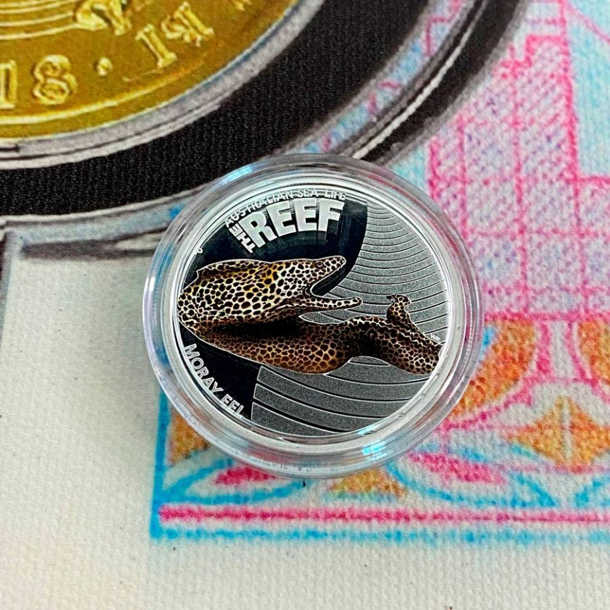 Мурена "Риф. Морская жизнь Австралии" - 50 центов, 2010 год, серебро фото 3