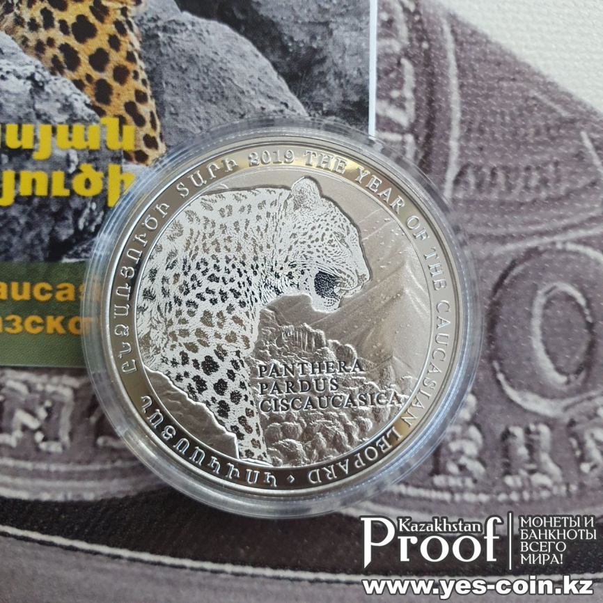 Год кавказского леопарда - Армения, 2019 год фото 4