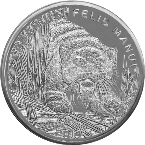 Манул фото 1