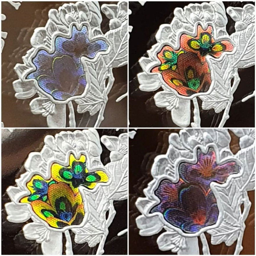 Алматинский апорт, серия «Растительный мир Казахстана» фото 6