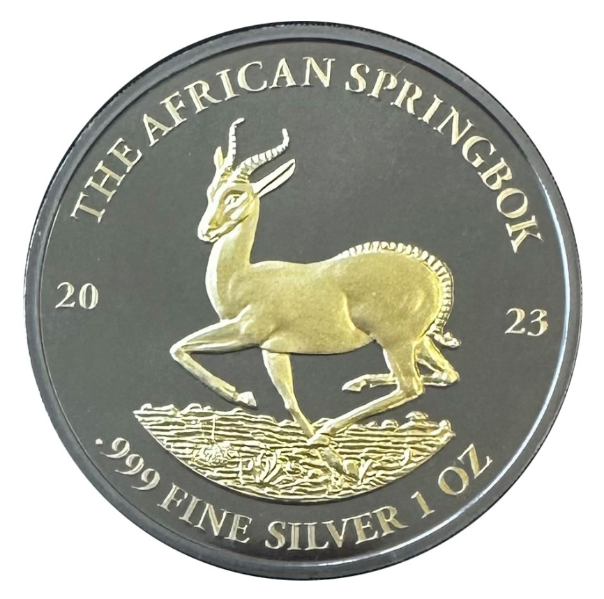 Африканская газель, 100 франков, 2023 год фото 1