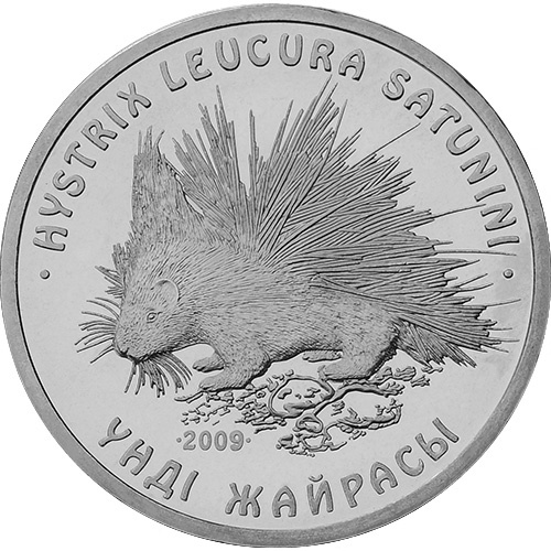 Дикобраз фото 1