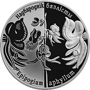 Надбароднік бязлісты (Надбородник безлистный) - серия "Возрожденные растения", 1 рубль 2016 год, Беларусь фото 1